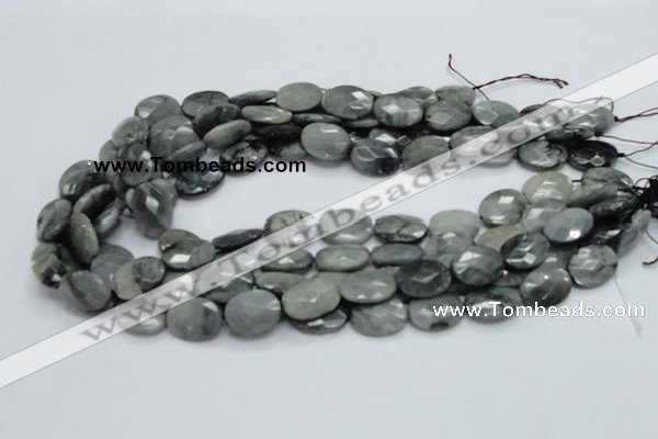 CEE53 15.5 inches 12*16mm faceted oval eagle eye jasper beads