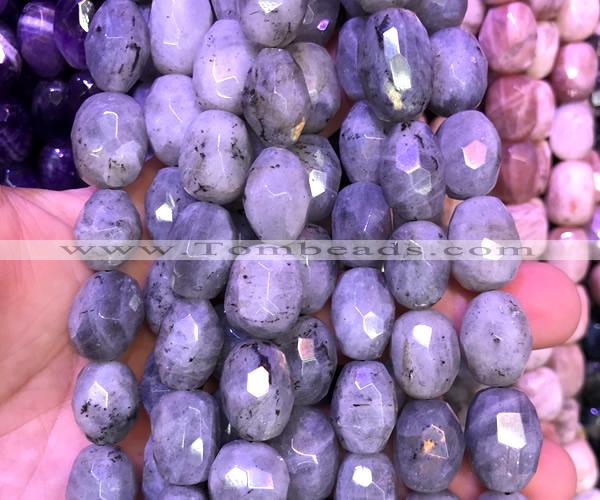 CNG9362 15 inches 12*16mm - 15*20mm faceted nuggets labradorite beads