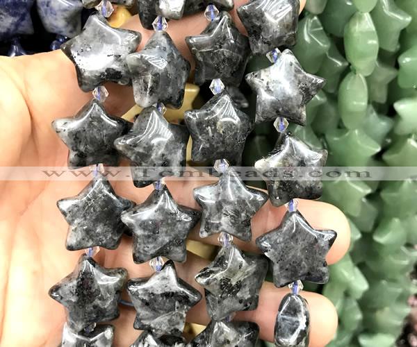 CRG104 15 inches 20mm star black labradorite beads wholesale