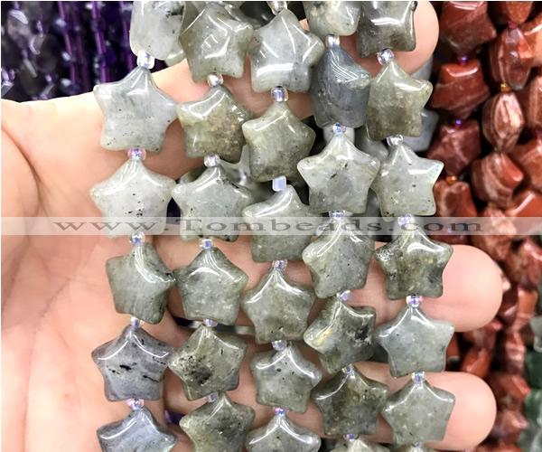 CRG90 15 inches 16mm star labradorite beads wholesale