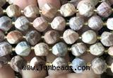 CTW673 15 inches 10mm faceted & twisted S-shaped bloodstone beads